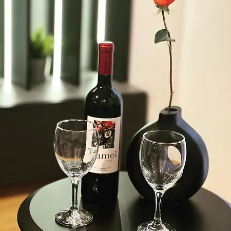 Apartmán Moderna Vracar