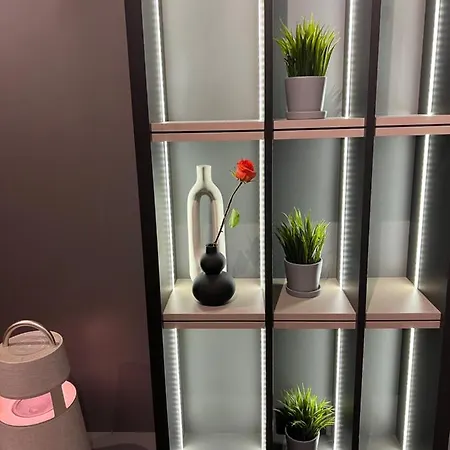 Apartmán Moderna Vracar Bělehrad