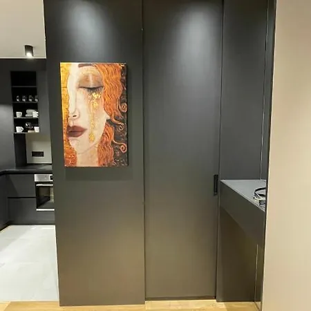 Apartment Moderna Vracar - New Belgrad