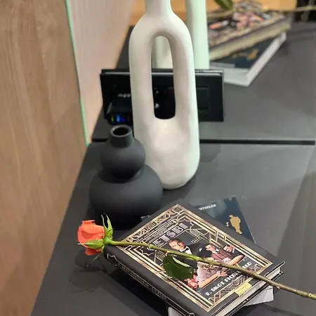 Apartmán Moderna Vracar *