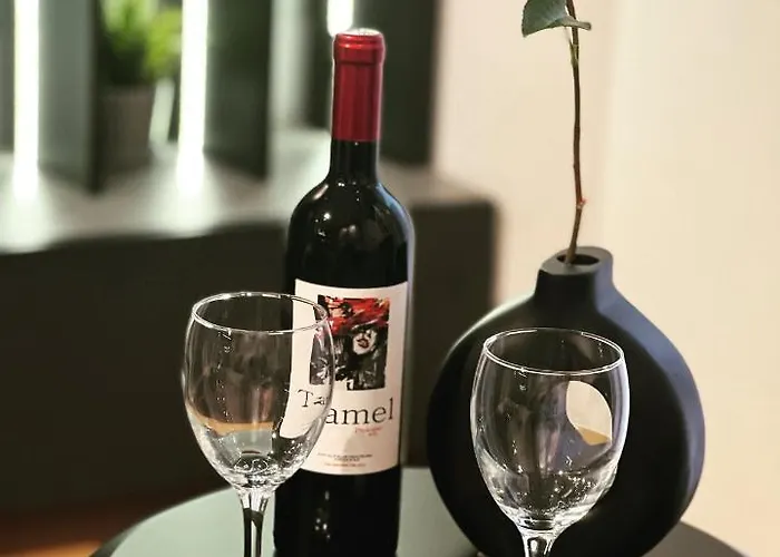 Apartament Moderna Vracar